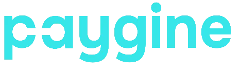 Paygine процессинговый центр
